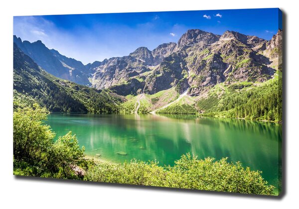 Imprimare tablou canvas Marine ochi Tatry