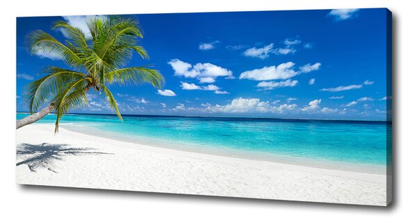 Tablou pe pânză canvas plaja tropicala