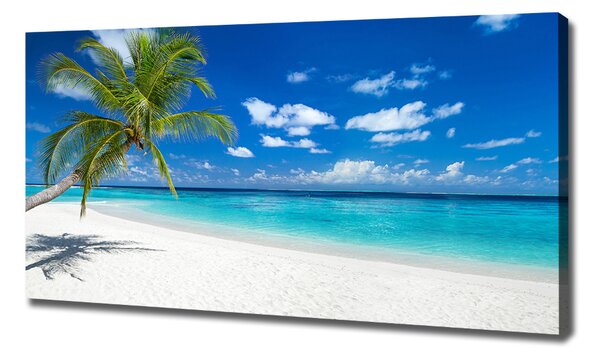 Tablou pe pânză canvas plaja tropicala