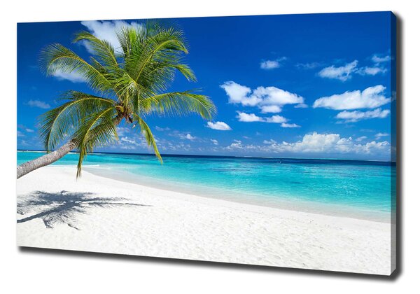 Tablou pe pânză canvas plaja tropicala