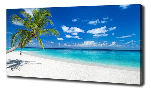 Tablou pe pânză canvas plaja tropicala