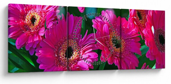 Tablou - floare (cu ceas) (90x30 cm)