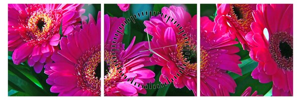 Tablou - floare (cu ceas) (90x30 cm)