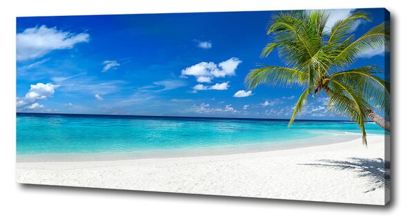 Imprimare tablou canvas plaja tropicala