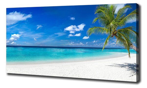 Imprimare tablou canvas plaja tropicala