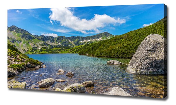 Print pe canvas Tatra Valley