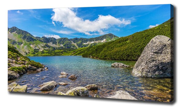 Print pe canvas Tatra Valley