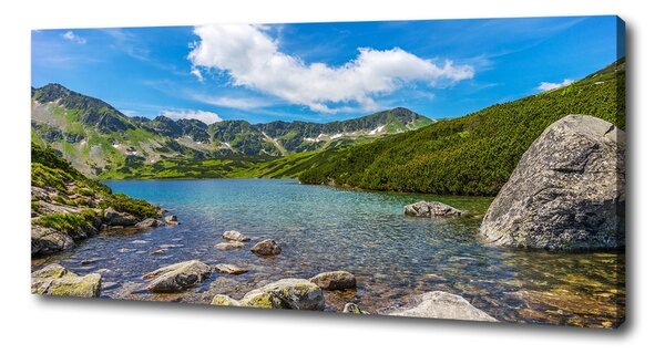 Print pe canvas Tatra Valley