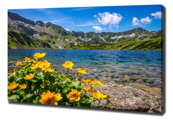 Tablou pe pânză canvas Lacul în munți