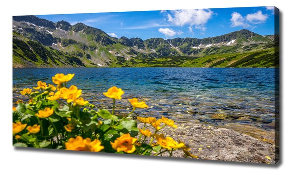 Tablou pe pânză canvas Lacul în munți