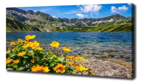 Tablou pe pânză canvas Lacul în munți