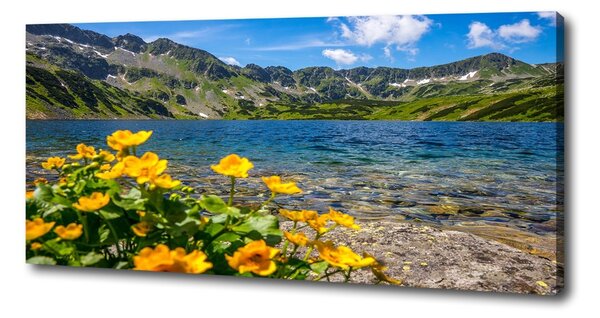 Tablou pe pânză canvas Lacul în munți