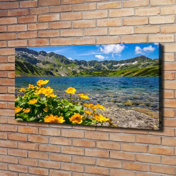 Tablou pe pânză canvas Lacul în munți
