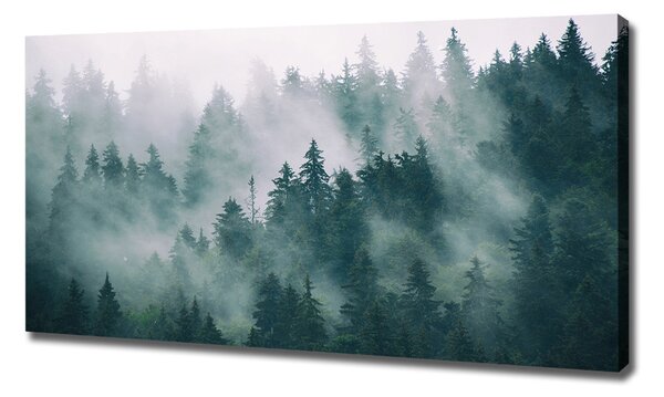 Pictură pe pânză Ceață peste pădure