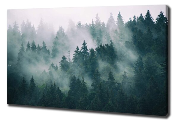 Pictură pe pânză Ceață peste pădure