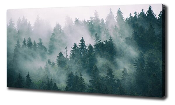 Pictură pe pânză Ceață peste pădure