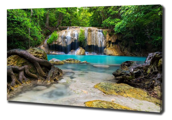 Tablouri tipărite pe pânză Cascada din pădure