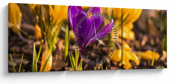 Tablou cu floare violetă (cu ceas) (90x30 cm)
