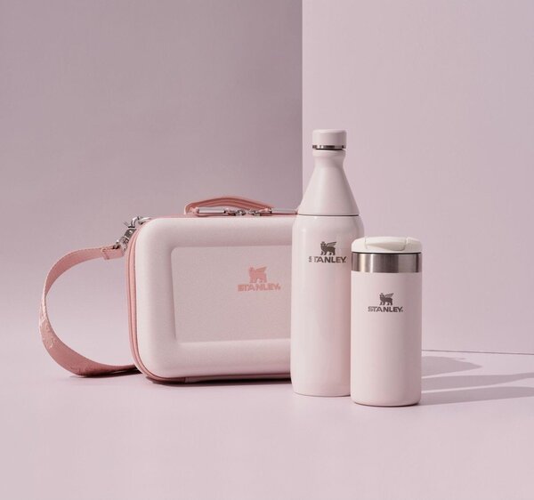 Cutie pentru prânz All Day Arista Mini Lunch Box Rose Quartz – Stanley