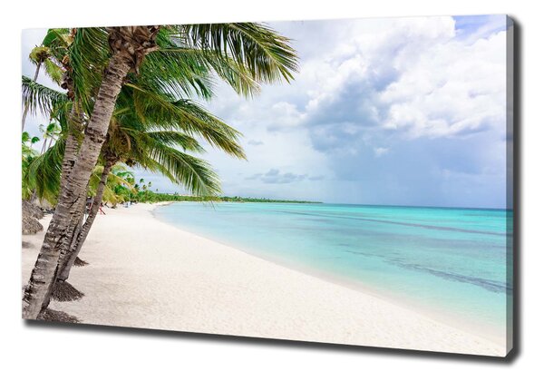 Pictură pe pânză plaja tropicala