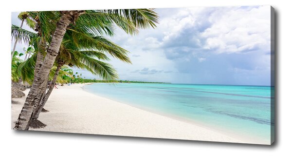Pictură pe pânză plaja tropicala