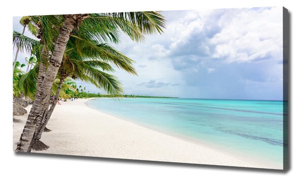 Pictură pe pânză plaja tropicala