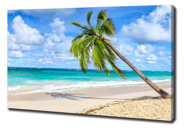 Tablou pe pânză canvas plaja tropicala