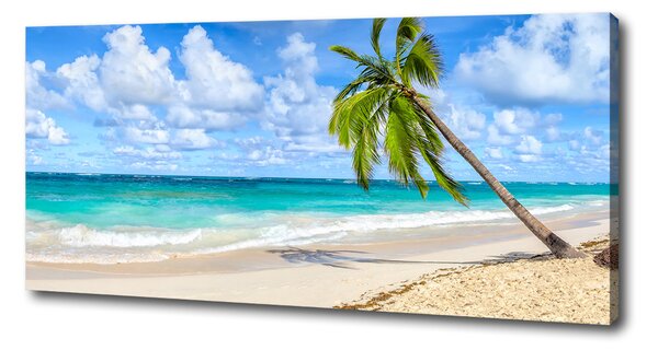 Tablou pe pânză canvas plaja tropicala