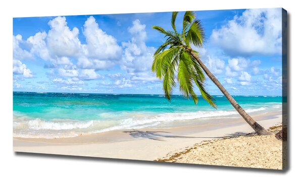 Tablou pe pânză canvas plaja tropicala