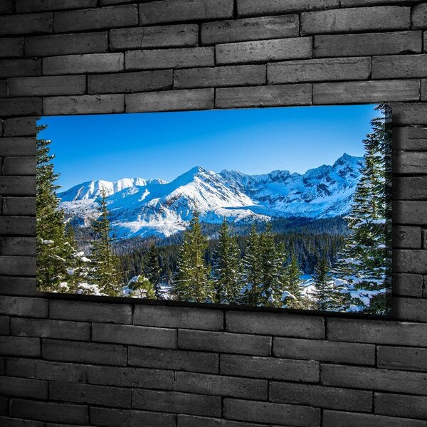 Pictură pe pânză panorama Tatra