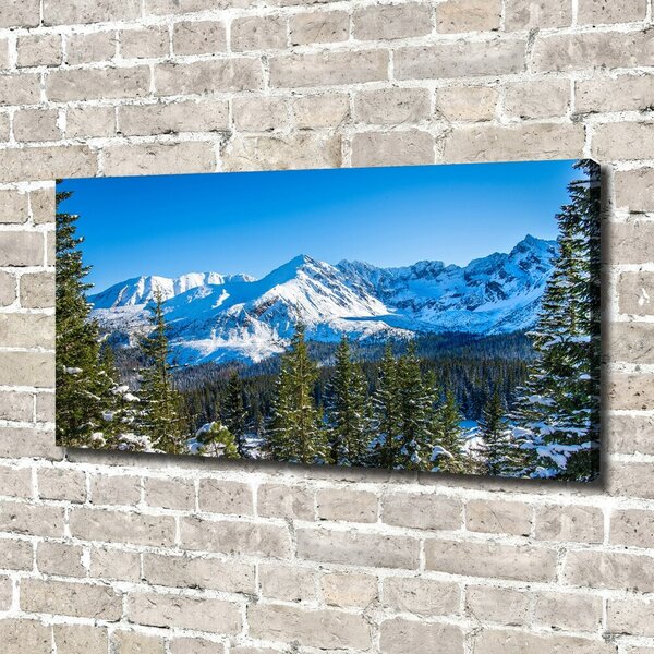 Pictură pe pânză panorama Tatra