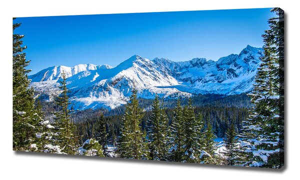 Pictură pe pânză panorama Tatra