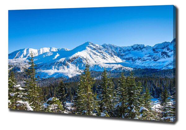 Pictură pe pânză panorama Tatra
