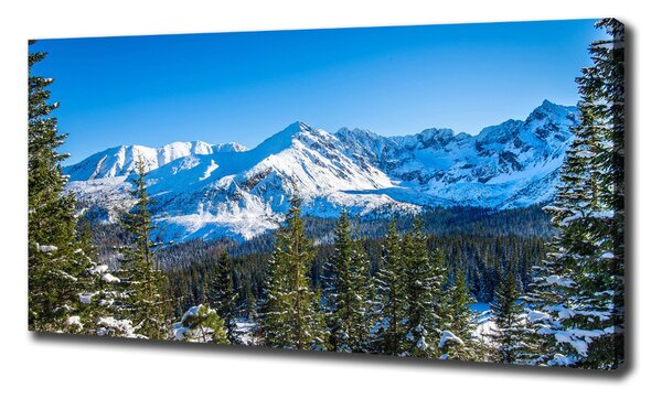 Pictură pe pânză panorama Tatra