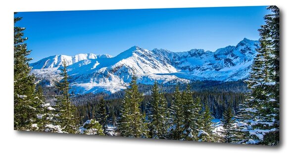 Pictură pe pânză panorama Tatra