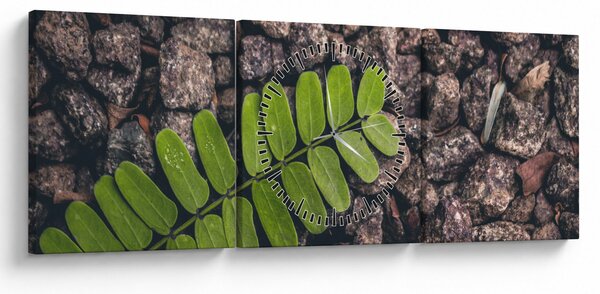 Tablou cu planta verde (cu ceas) (90x30 cm)