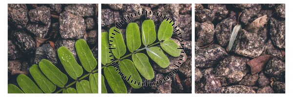 Tablou cu planta verde (cu ceas) (90x30 cm)