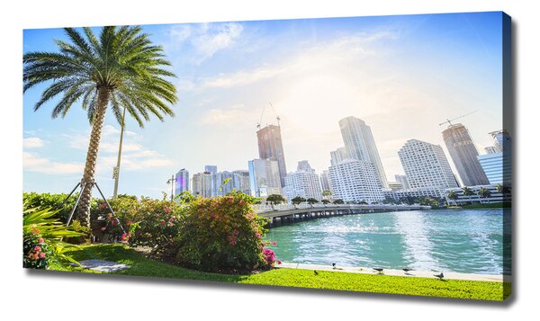 Tablou pe pânză canvas Miami Statele Unite ale Americii