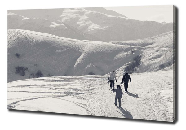 Tablou pe pânză canvas schiorii