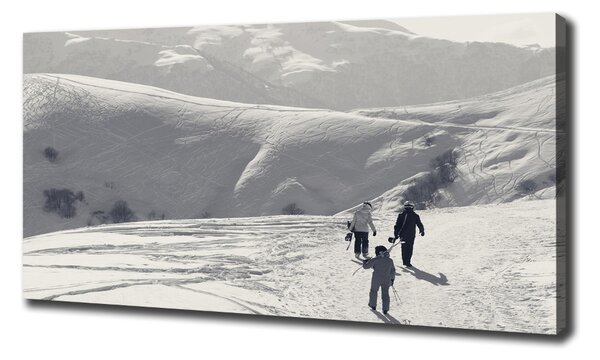 Tablou pe pânză canvas schiorii