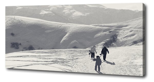 Tablou pe pânză canvas schiorii