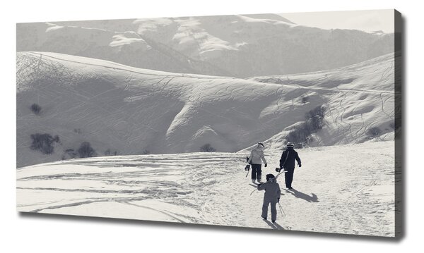 Tablou pe pânză canvas schiorii