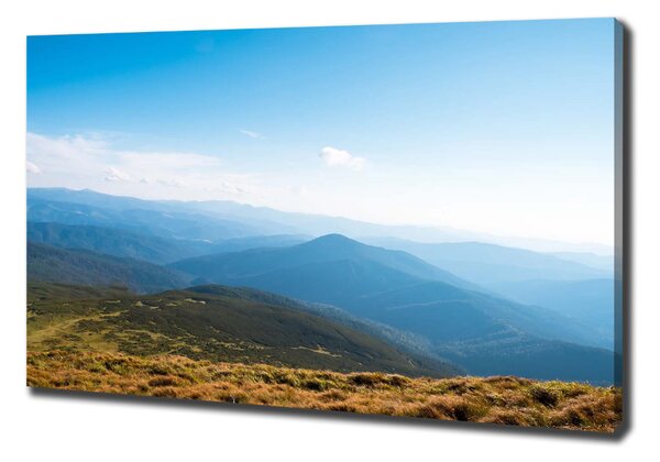 Pictură pe pânză Parcul National Tatra