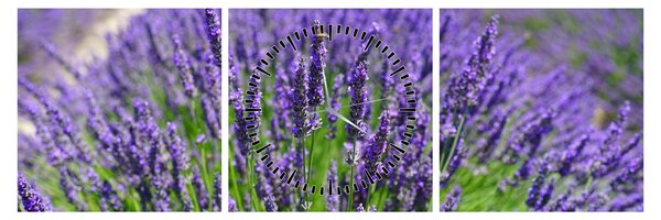 Tablou - lavanda (cu ceas) (90x30 cm)