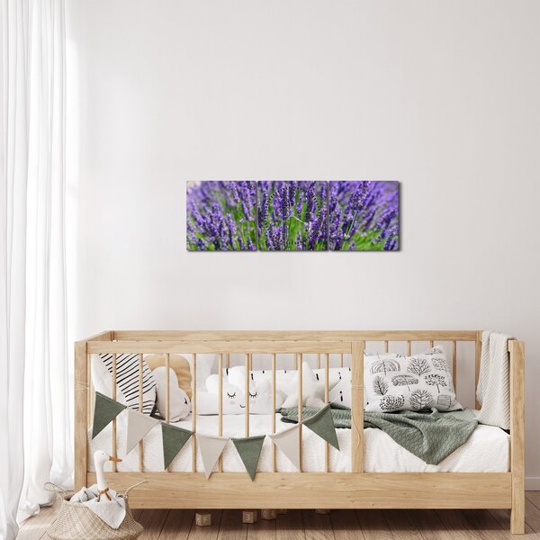 Tablou - lavanda (cu ceas) (90x30 cm)