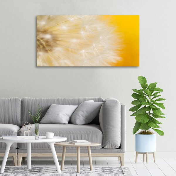 Print pe canvas Păpădie