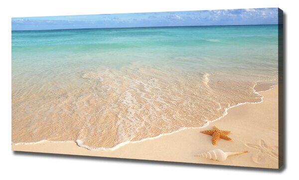 Tablou canvas Starfish pe plajă