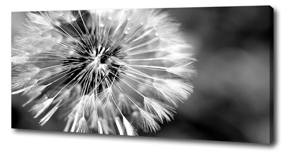 Tablou canvas păpădia
