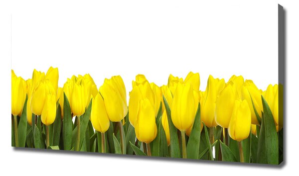 Tablou canvas lalele galbene