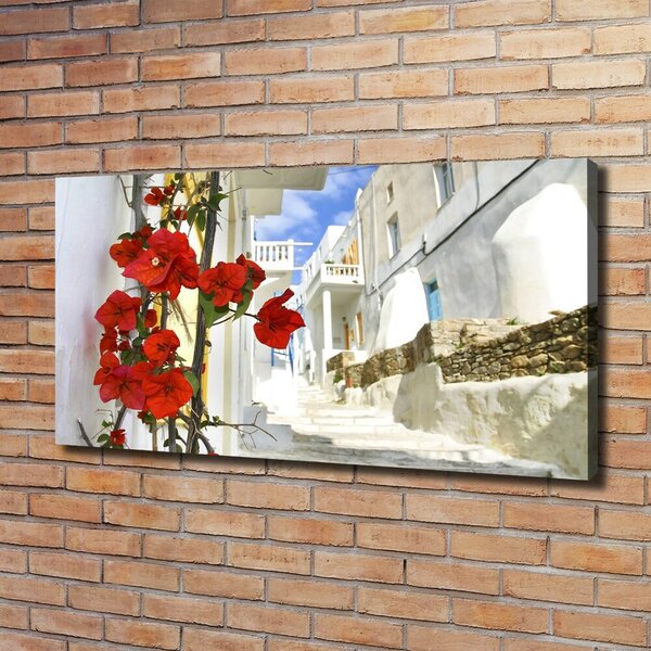Imprimare tablou canvas Mykonos Grecia